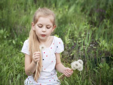 Bahar bahçesinde küçük bir kız elinde beyaz karahindibalar