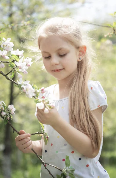 Malá Rozkošná Dívka Mezi Kvetoucím Stromem Jablečné Zahradě — Stock fotografie