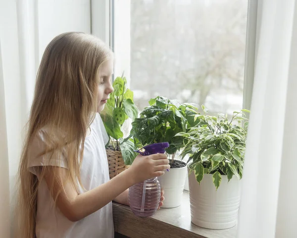 Pieni Tyttö Kastelee Huonekasveja Talossaan — kuvapankkivalokuva