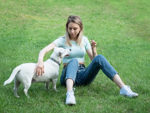 Nainen Leikkii Koirarodun Kanssa Jack Russell Terrier — kuvapankkivalokuva