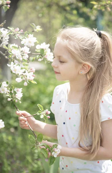 Malá Rozkošná Dívka Mezi Kvetoucím Stromem Jablečné Zahradě — Stock fotografie