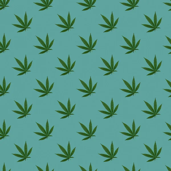 Hemp Cannabis Leaves Seamless Pattern Close Fresh Cannabis Leaves Blue — Stock Photo, Image