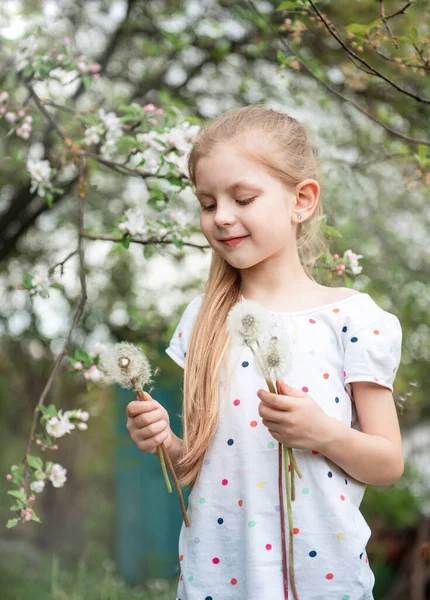 Dívka Jarní Zahradě Bílými Pampeliškami Rukou — Stock fotografie