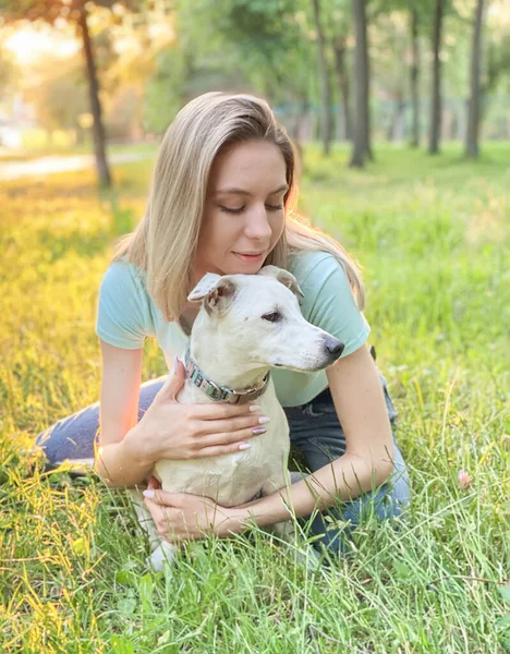 งเล ขสายพ Jack Russell Terrier — ภาพถ่ายสต็อก