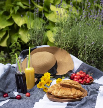 Lavanta tarlasında yaz pikniği. Böğürtlen, hasır şapka ve meyve suyuyla dolu yaz pikniği
