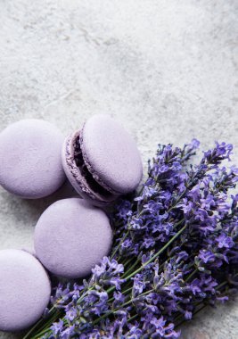 Lavanta aromalı Fransız Makaronları ve çimento kaplı taze lavanta çiçekleri.