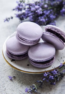 Lavanta aromalı Fransız Makaronları ve çimento kaplı taze lavanta çiçekleri.