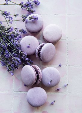 Fayanslı lavanta aromalı Fransız Makaronları ve taze lavanta çiçekleri.