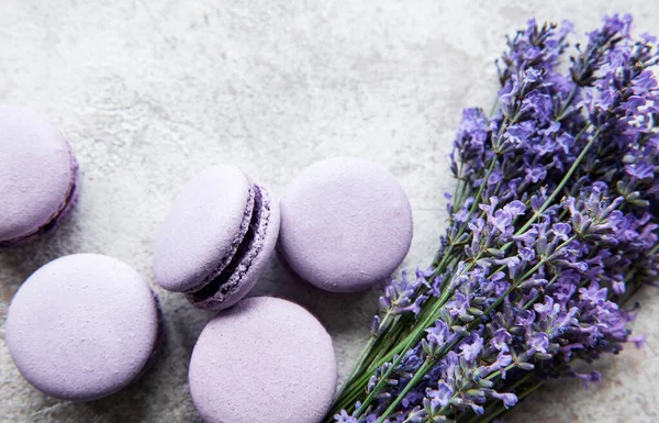 Franska Makaroner Med Lavendel Smak Och Färska Lavendel Blommor Konkret — Stockfoto