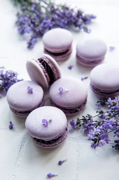 Macarrones Franceses Con Sabor Lavanda Flores Frescas Lavanda Sobre Fondo — Foto de Stock