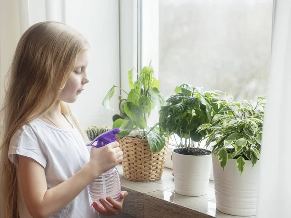 Lita Jente Som Sprutet Vann Stueplanter Innendørs Hagebruk – stockfoto