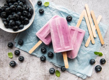  Ev yapımı yoğurt ve taze organik yaban mersinli dondurma.. 