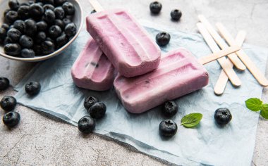  Ev yapımı yoğurt ve taze organik yaban mersinli dondurma.. 