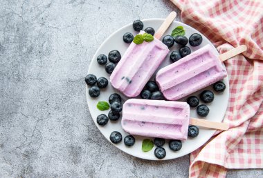  Ev yapımı yoğurt ve taze organik yaban mersinli dondurma.. 