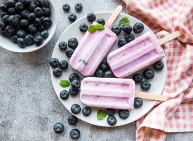  Ev yapımı yoğurt ve taze organik yaban mersinli dondurma.. 