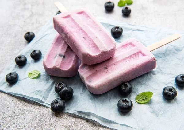  Ev yapımı yoğurt ve taze organik yaban mersinli dondurma.. 