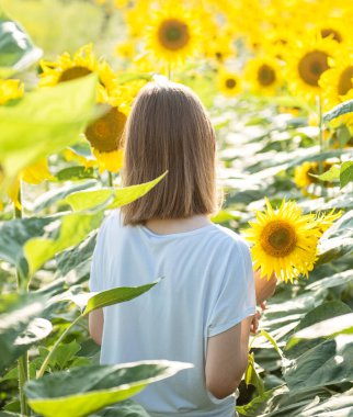 Genç ve güzel bir kız yazın çiçek açan bir tarlada yürüyor.