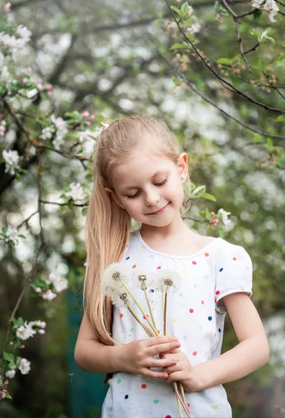 Dívka Jarní Zahradě Bílými Pampeliškami Rukou — Stock fotografie