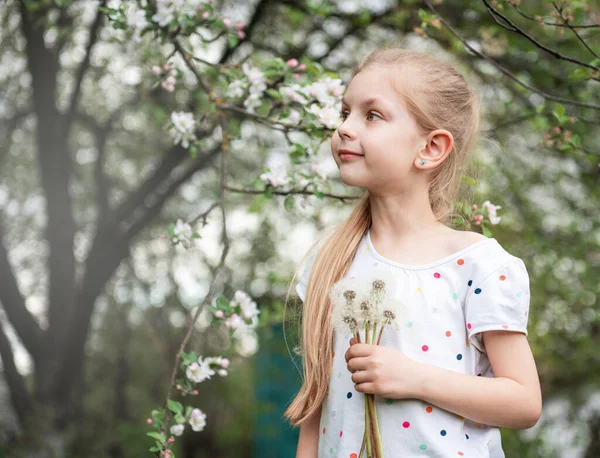 Dívka Jarní Zahradě Bílými Pampeliškami Rukou — Stock fotografie