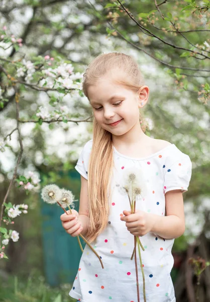 Dziewczynka Wiosennym Ogrodzie Białymi Mniszkami Rękach — Zdjęcie stockowe