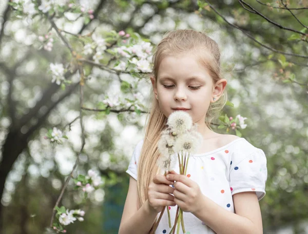 Dziewczynka Wiosennym Ogrodzie Białymi Mniszkami Rękach — Zdjęcie stockowe