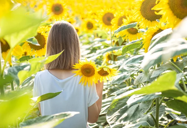 Menina Bonita Jovem Caminha Verão Campo Com Girassóis Florescendo — Fotografia de Stock