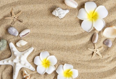 Yaz seyahati kavramı, deniz kabukları ve balık yıldızları ile kum arka planda.