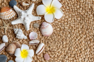 Yaz tatili kavramı. Beyaz frangipani çiçeği, deniz kabuğu ve deniz yıldızı