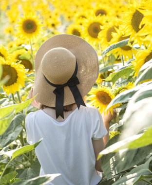 Genç ve güzel bir kız yazın çiçek açan bir tarlada yürüyor.