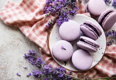 macarons lavanta lezzet ve taze lavanta çiçekleri ile Fransız 