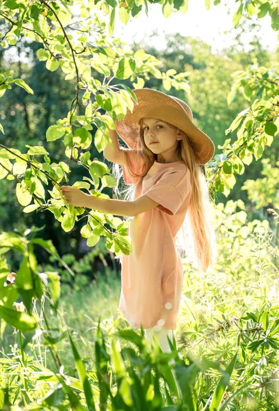 Маленькая Девочка Соломенной Шляпе Окружении Цветов Портрет Счастливой Маленькой Блондинки — стоковое фото