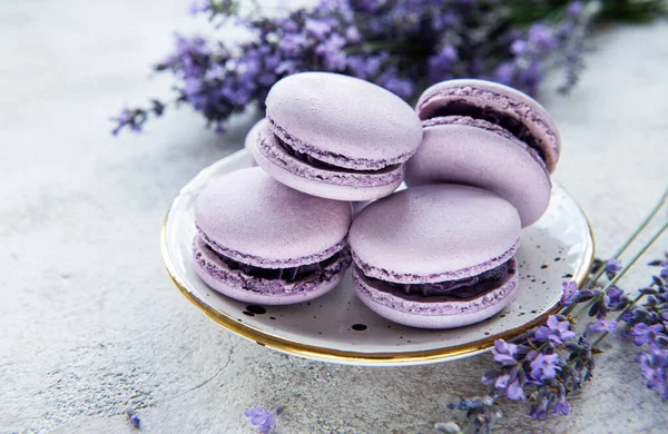 Macarons Français Saveur Lavande Fleurs Lavande Fraîches Sur Fond Béton — Photo