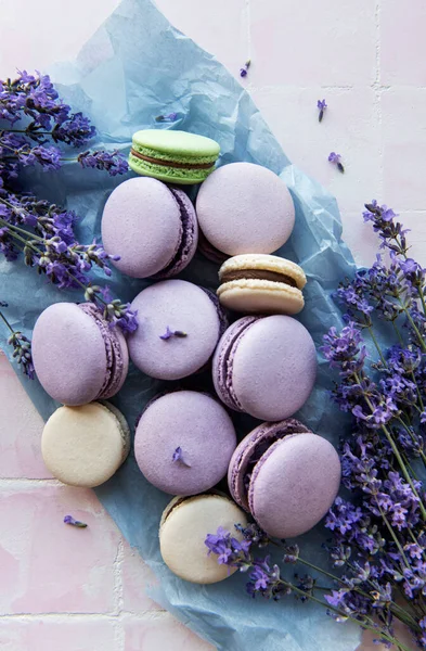 Macarrones Franceses Con Sabor Lavanda Flores Frescas Lavanda Sobre Fondo — Foto de Stock