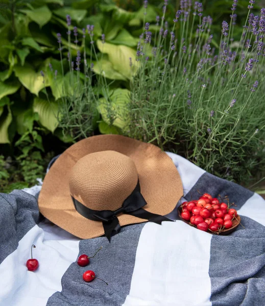 Summer picnic in lavender field. Still life summer outdoor picnic with berries and straw hat