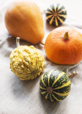 Sonbahar kompozisyonu, rahat sonbahar sezonu, tekstil arka planında balkabakları ve yapraklar. Şükran Günü tatili sembolü, düz yatış.