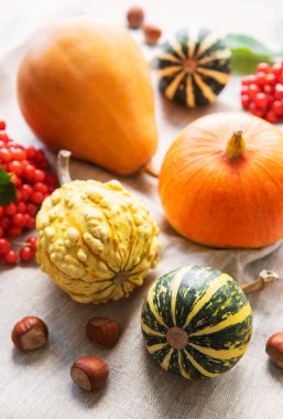 Kırsal bir sonbahar tekstil arka planında balkabaklarıyla sakin bir hayat