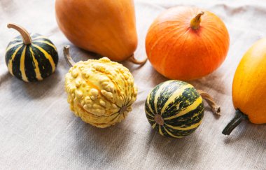 Kırsal bir sonbahar tekstil arka planında balkabaklarıyla sakin bir hayat