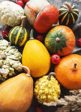 Sonbahar kompozisyonu, rahat sonbahar sezonu, tekstil arka planında balkabakları ve yapraklar. Şükran Günü tatili sembolü, düz yatış.