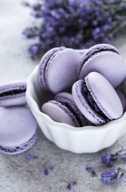 macarons lavanta lezzet ve taze lavanta çiçekleri ile Fransız 
