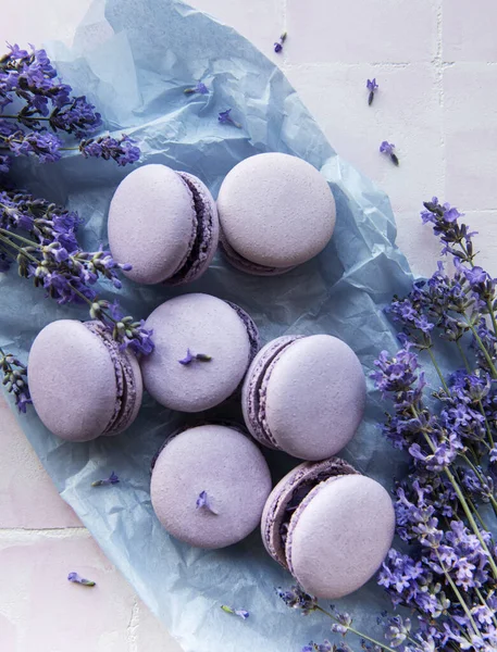 Französische Macarons Mit Lavendelgeschmack Und Frischen Lavendelblüten Auf Fliesenhintergrund — Stockfoto