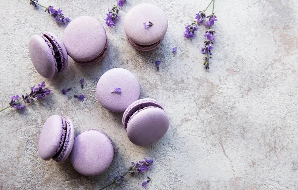 Macarrones Franceses Con Sabor Lavanda Flores Frescas Lavanda — Foto de Stock