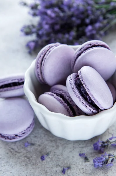 macarons lavanta lezzet ve taze lavanta çiçekleri ile Fransız 
