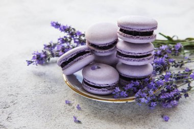 macarons lavanta lezzet ve taze lavanta çiçekleri ile Fransız 
