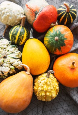 Sonbahar kompozisyonu, rahat sonbahar sezonu, tekstil arka planında balkabakları ve yapraklar. Şükran Günü tatili sembolü, düz yatış.