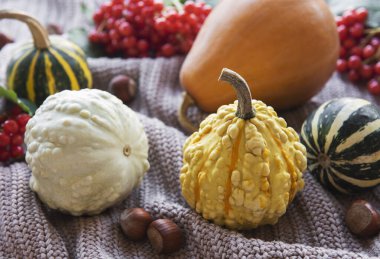 Örülmüş tekstil arka planında balkabaklarıyla kırsal bir sonbahar.