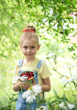 Şirin küçük kız kiraz bahçesindeki bir ağaçtan kiraz topluyor.