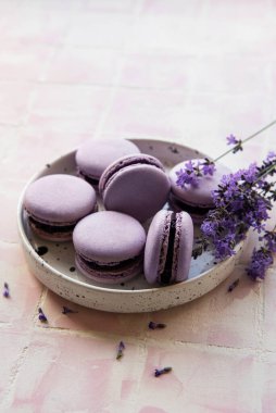 macarons lavanta lezzet ve taze lavanta çiçekleri ile Fransız 