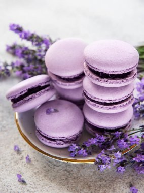 macarons lavanta lezzet ve taze lavanta çiçekleri ile Fransız 