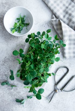 Bezelye mikro yeşillikleri ahşap masada. Sağlıklı yaşam tarzı