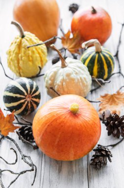 Kırsal arkaplanda çok renkli balkabaklarıyla sonbahar bileşimi